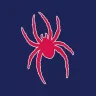 Spider17
