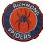 spiders13